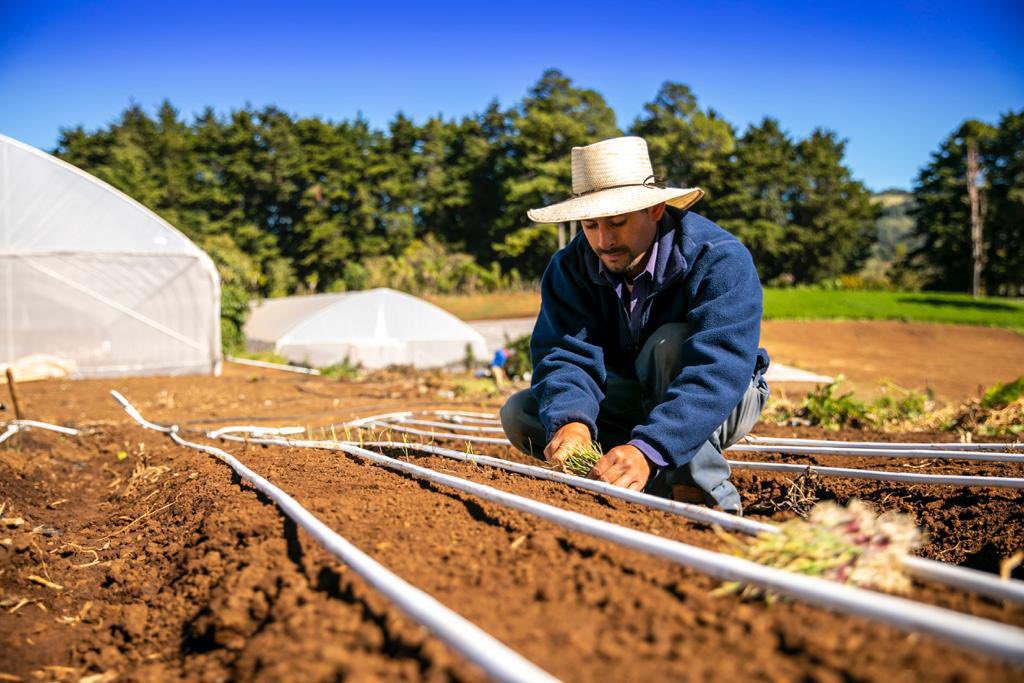 el-salvador-y-fao-trazan-hoja-de-ruta-para-garantizar-seguridad-alimentaria